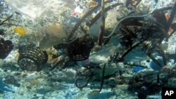Sampah di Pantai Hanauma, Hawaii.