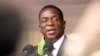 Afreximbank Pledges Up to $1.5B to Post-Mugabe Zimbabwe
