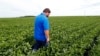 As Farmers Harvest, Tariff Concerns Loom 