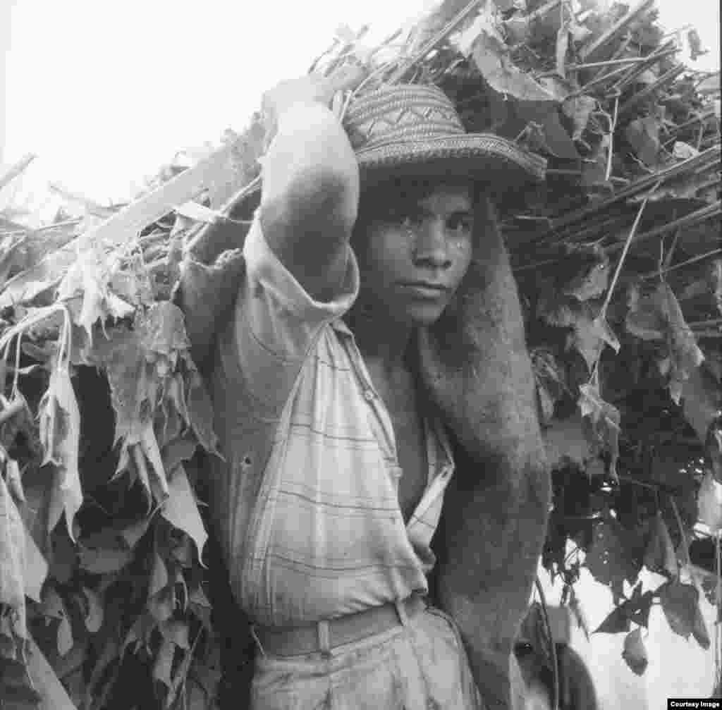 "Venezuela" by Dorothea Lange, 1960 (Photo credit: © Dorothea Lange Collection, Oakland Museum of California, the City of Oakland, Gift of Paul S. Taylor)