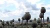 Britain Farmers Find Promise in a Crop Illegal in Afghanistan
