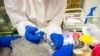 Russia Registers Vaccine to Protect Animals from COVID-19