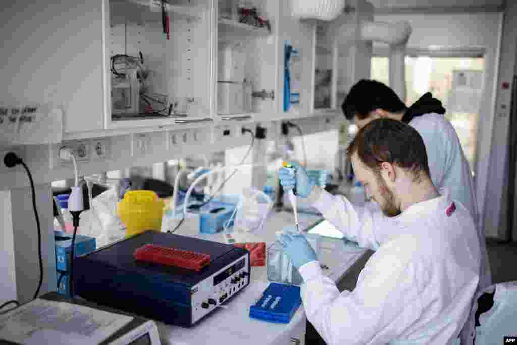  Kopengagen universiteti laboratoriyasida tadqiqotchilar koronavirusga qarshi vaksina yaratish ustida ishlamoqda. Daniya, 23-mart, 2020-yil.