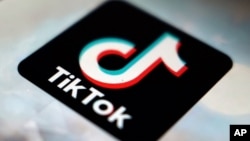 智慧型手機上TikTok應用程序標誌。