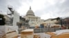 Protesters' Plans Present Challenges for Inauguration Security