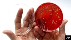 Superbug