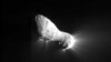 Comets Discovered Around Distant Solar Systems