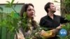 Female Entrepreneurs Use Internet to Build Herbal Product Businesses