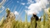 UN Agency: Invest in Farmers to Stop Desperate Migration to City Slums