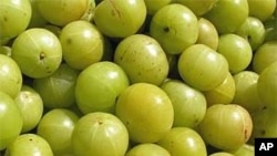 Indian Gooseberry, or Amla