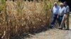 UN Urges Countries to Develop National Drought Policies