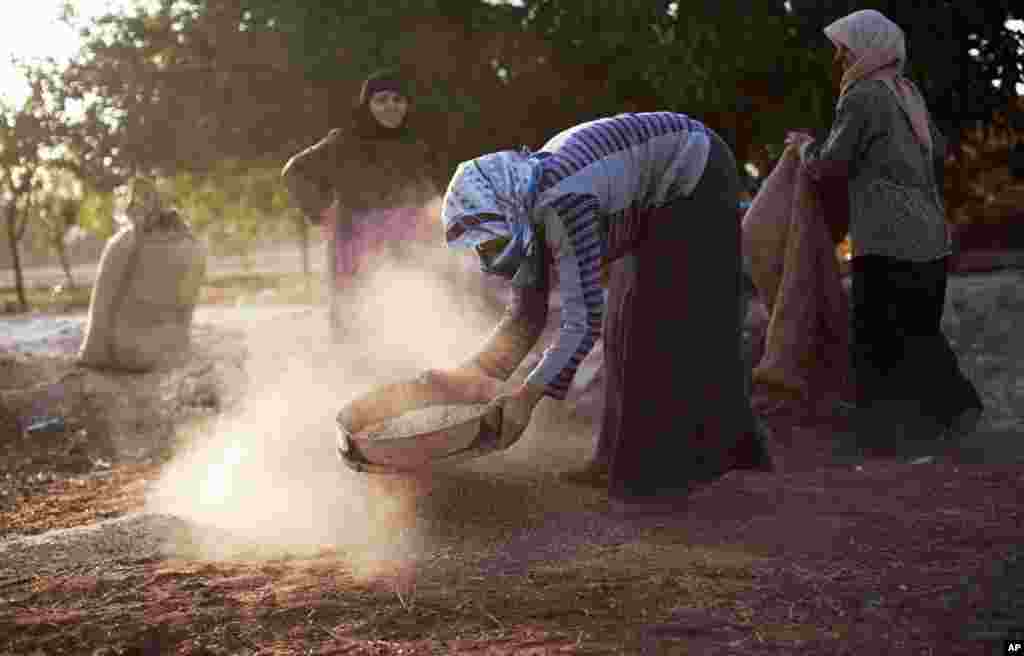 Syrian women work on their field in the village of Tarafat, Syria, October 14, 2012. The Aleppo rebellion started off in the rural areas of Aleppo province, not in the city as was the case in most other parts of Syria.