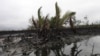 Nigerians Demand Oil Spill Clean-up