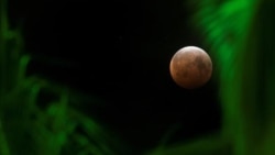 Quiz - Near Total Lunar Eclipse to Happen on Friday