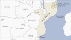 Países da África austral devem ajudar Moçambique a travar potencial jihadismo, dizem analistas
