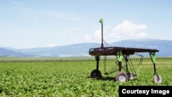 In this file photo, ecoRobotix demonstrates its 'smart farm' technology, which uses artificial intelligence to identify weeds and kill them. (ecoRobotix) 