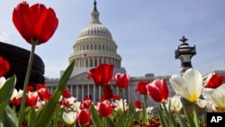 Congresso dos Estados Unidos