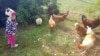 In Farm PreSchool, kids befriend farm animals and learn about them.