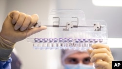 Seorang teknisi memeriksa botol berisi vaksin COVID-19 Pfizer-BioNTech di fasilitas perusahaan di Puurs, Belgia, Maret 2021. (Pfizer via AP)