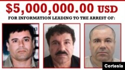 Autoridades internacionales, DEA y FBI están tras la pista de Joaquín Guzmán Loera considerado el hombre más buscado de México.