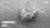 16x9 Image
