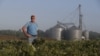 Temen que ayuda a agricultores de EE.UU. no será suficiente