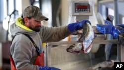 Seafood Industry