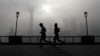 High Consumption, Trade Shift Harmful Effects of Pollution