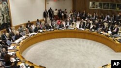 United Nations Security Council