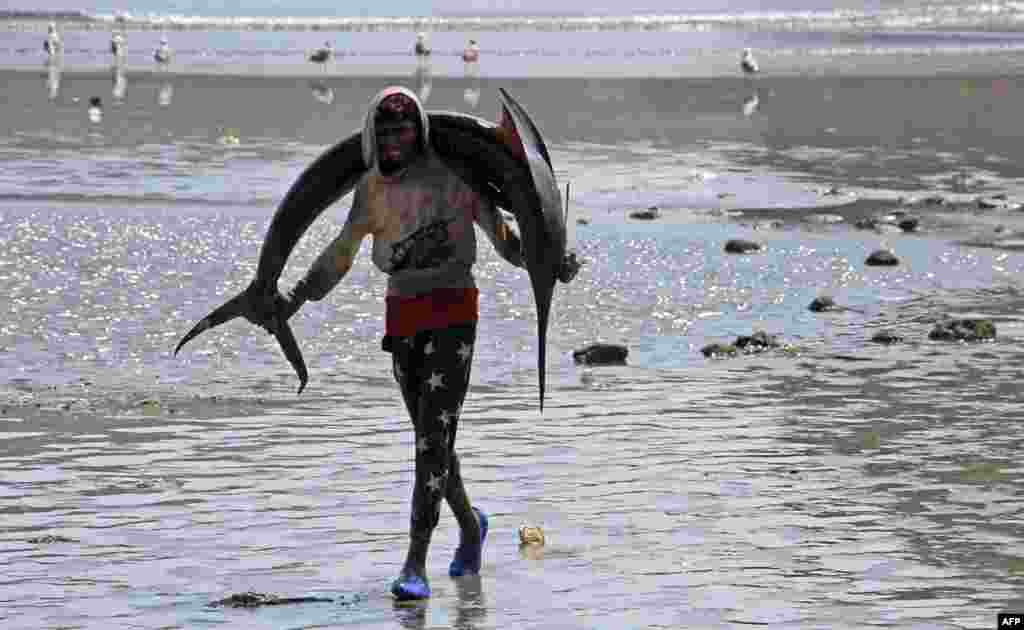 Seorang nelayan membawa ikan gergaji hasil tangkapan ke pasar ikan di kota Aden, Yaman selatan.