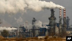 China Carbon Market