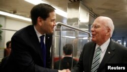 Rubio dijo que tampoco se lanzará para gobernador de su estado y aseguró que por lo pronto terminará su mandato en el Senado "y luego seré un ciudadano privado en enero".