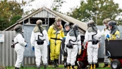 Quiz - Denmark to Destroy Mink Population after Coronavirus Spreads to Humans