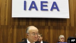 Director General of the International Atomic Energy Agency Yukiya Amano (file photo)