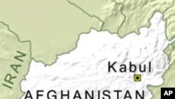 Coalition Troops Launch Major Offensive East of Kabul