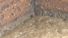 Wastewater Plants Extract Nutrients from Sewage