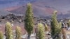 Berwisata ke Taman Nasional Vulkano dan Taman Nasional Haleakala di Hawaii