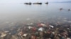 Plastik Ditemukan Dalam Perut Hewan di Palung Laut Terdalam 