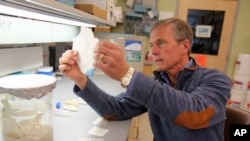 This undated handout photo provided by the University of Pittsburgh Medical Center shows Dr. Stephen Badylak, a surgery professor at the university, and deputy director of the McGowan Institute for Regenerative Medicine, holding a sheet of “extracellular matrix,” scaffolding-like material derived from pig bladder. 