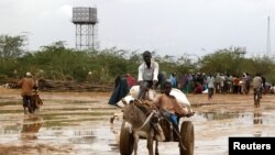Refugiados da Somália chegam ao campo de Dadaab