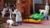  བལ་ཡུལ་ལ་ཏོག་དབྱིབས་ནད་དུག་ཐེངས་གཉིས་པ་ཁྱབ་པ། 
