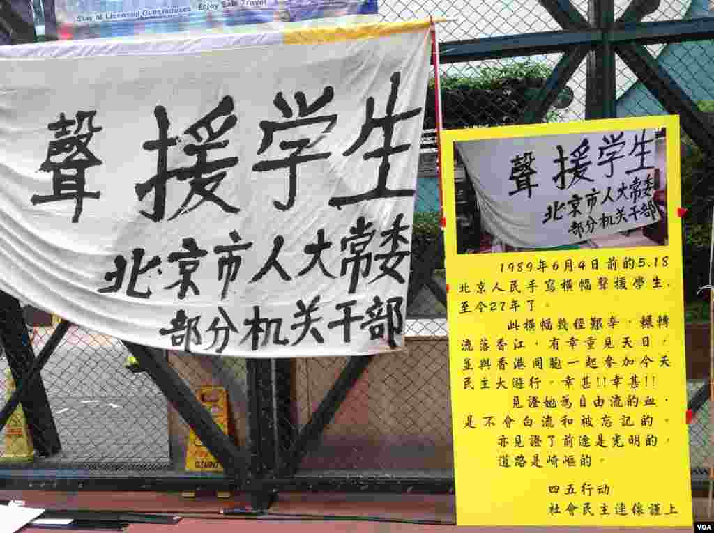 香港支联会举行年度爱国民主大游行(美国之音海彦拍摄)