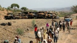 Kan Mootummaan Shorokeessummaan Ramade TPLF Wal Ta’iinsa WBO Waliin Tolfate Irratti Ibsa Kennee fi Deebii Mootummaa