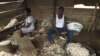 Cameroon Asks People Who Fled Boko Haram to Return