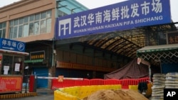 被封了的武漢華南海鮮市場（2020年1月21日）