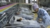 Maternal Health Practioners Advocate Saving Lives at Birth