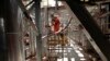 Report: Brazil Probes 13 Banks for Schahin, Petrobras Operations