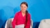 Disability Group President Resigns Over Thunberg Remark