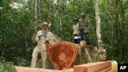 Aktivis lingkungan Chut Wutty dibunuh April lalu secara misterius ketika menyelidiki penebangan kayu liar di Kamboja (foto: Dok). 