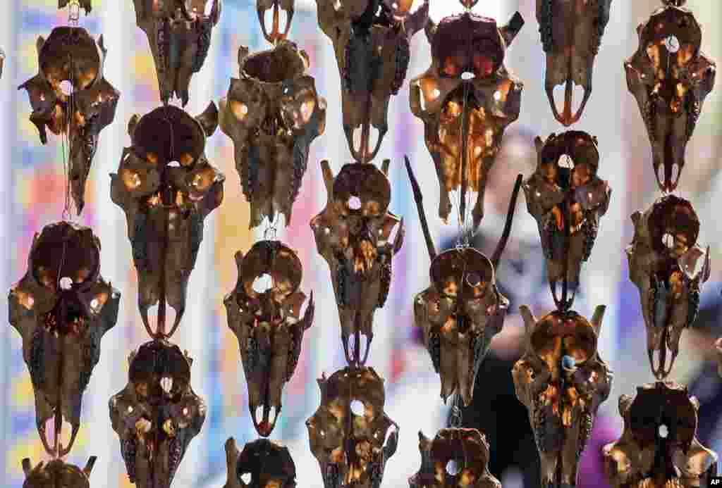 A visitor walks behind the installation 'Pile o Sapmi', a curtain made out of reindeer skulls by Norwegian artist Maret Anne Sara during the press preview of the documenta 14, the world's most significant exhibition of contemporary art, in Kassel, Germany.